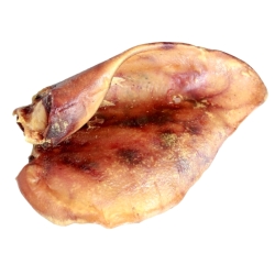 Naturalny Gryzak dla psa Ucho Wieprzowe BULT