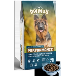 Karma dla psa DIVINUS PERFORMANCE dla psów dorosłych 20 kg